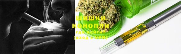 индика Армянск