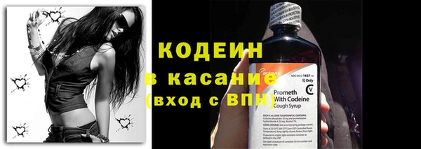 индика Армянск