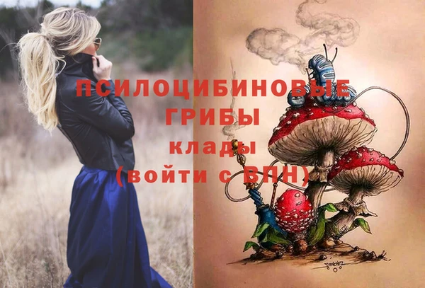 индика Армянск