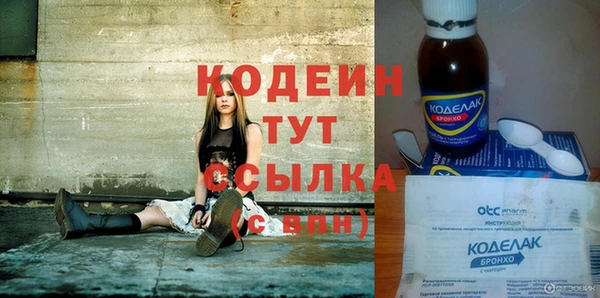 индика Армянск
