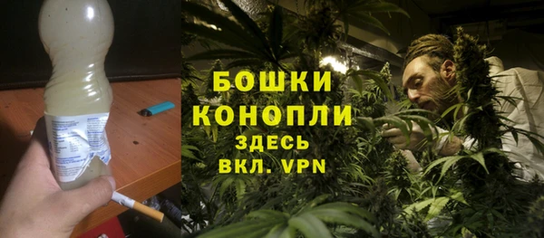 тгк Арсеньев
