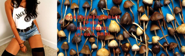 индика Армянск