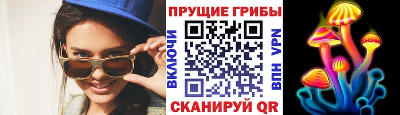 blacksprut ССЫЛКА Спасск-Дальний Галлюциногенные грибы GOLDEN TEACHER наркошоп